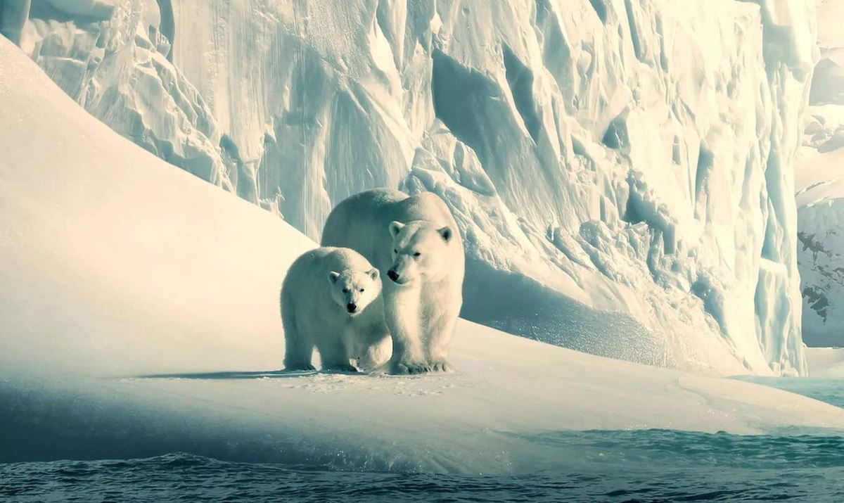 Κάποια από τα καλύτερα ντοκιμαντέρ του Netflix δωρεάν στο YouTube