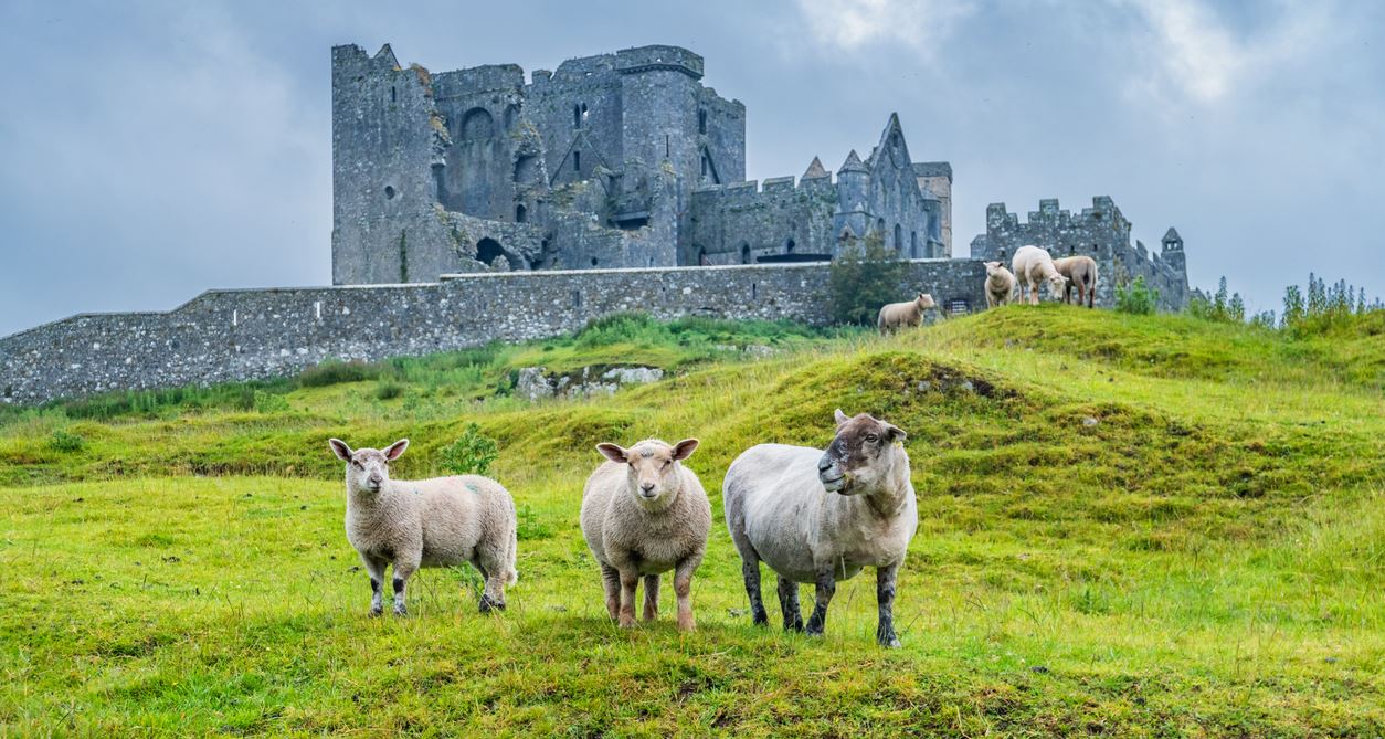 Ο πόλεμος του ιρλανδικού 'χρυσού'
