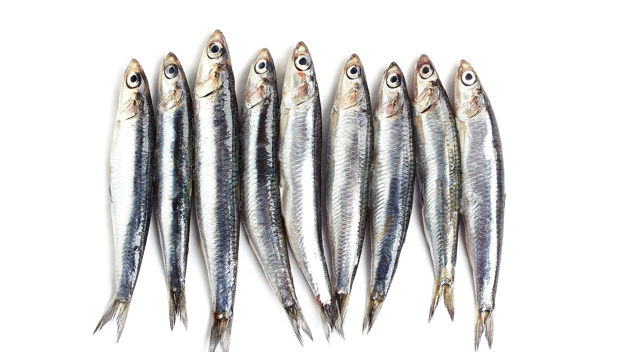 Τα κορυφαία εστιατόρια για ψάρι και θαλασσινά στην Αθήνα