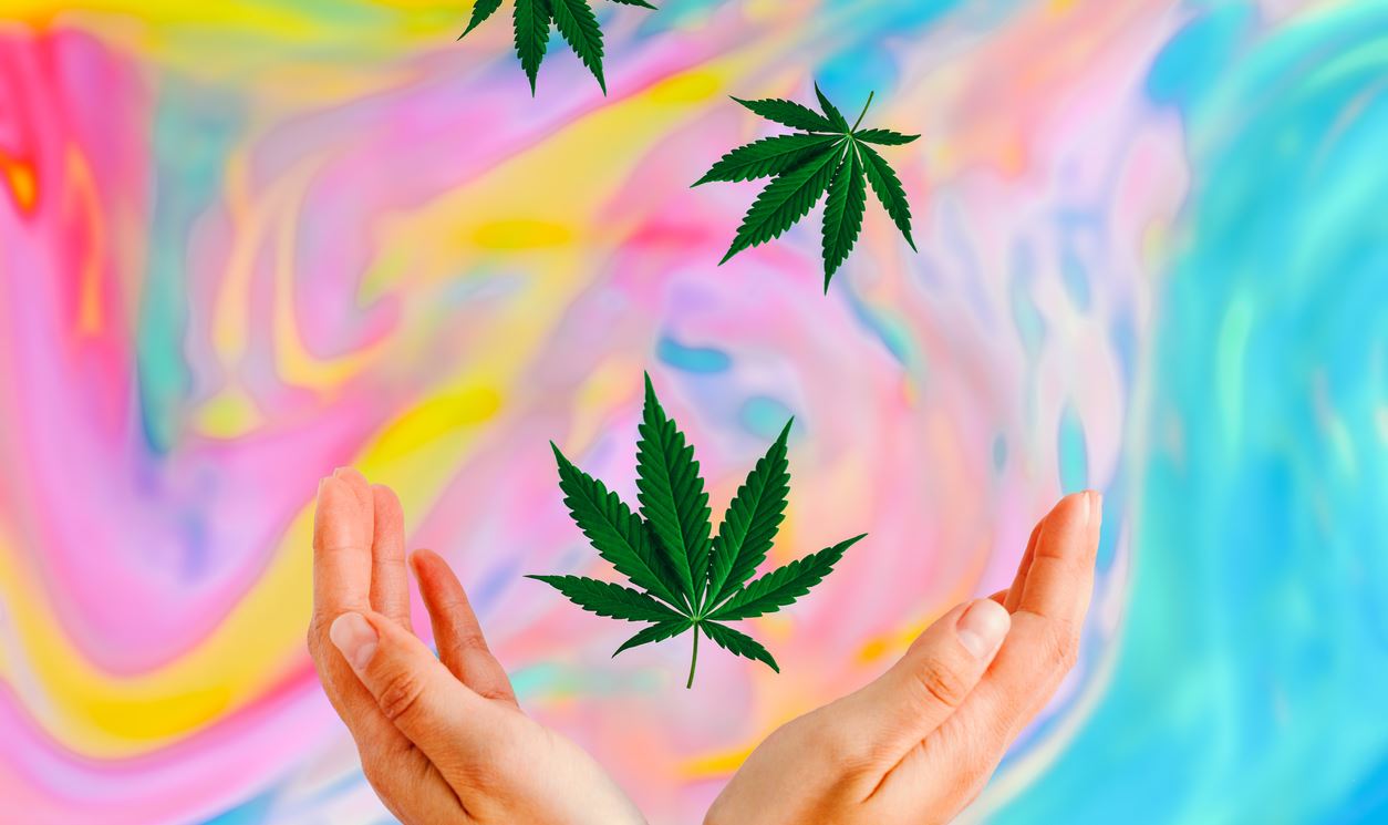 Κάνναβη για καλύτερο σεξ. Ή μήπως όχι;