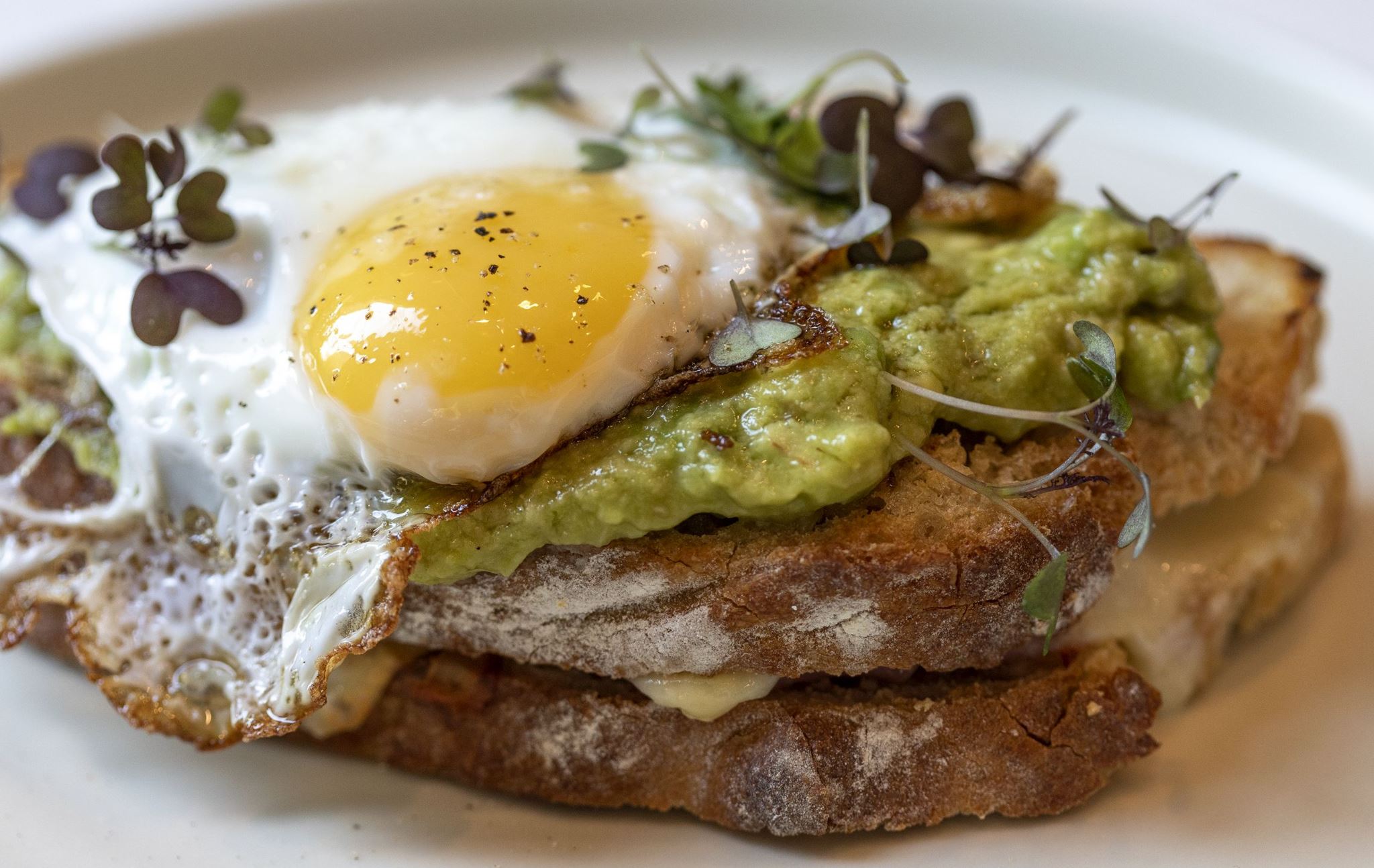Ένα τοστ αβοκάντο από τον Ηλία Σταυρόπουλο