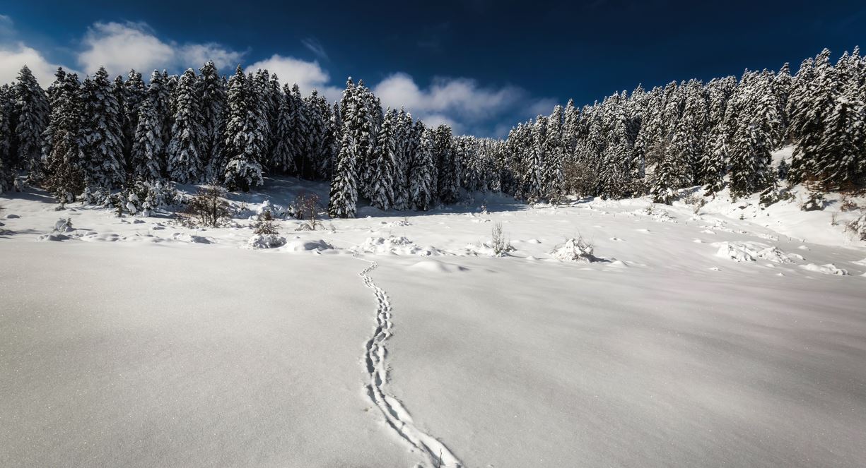 Εκεί όπου η θερμοκρασία έπεσε στους -25,1°C