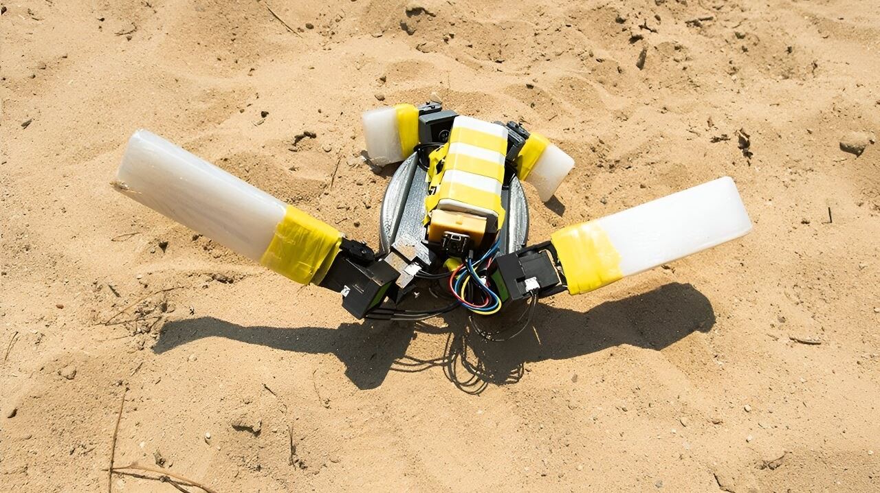 Μία χελώνα ρομπότ οδηγεί με ασφάλεια τα χελωνάκια στον ωκεανό