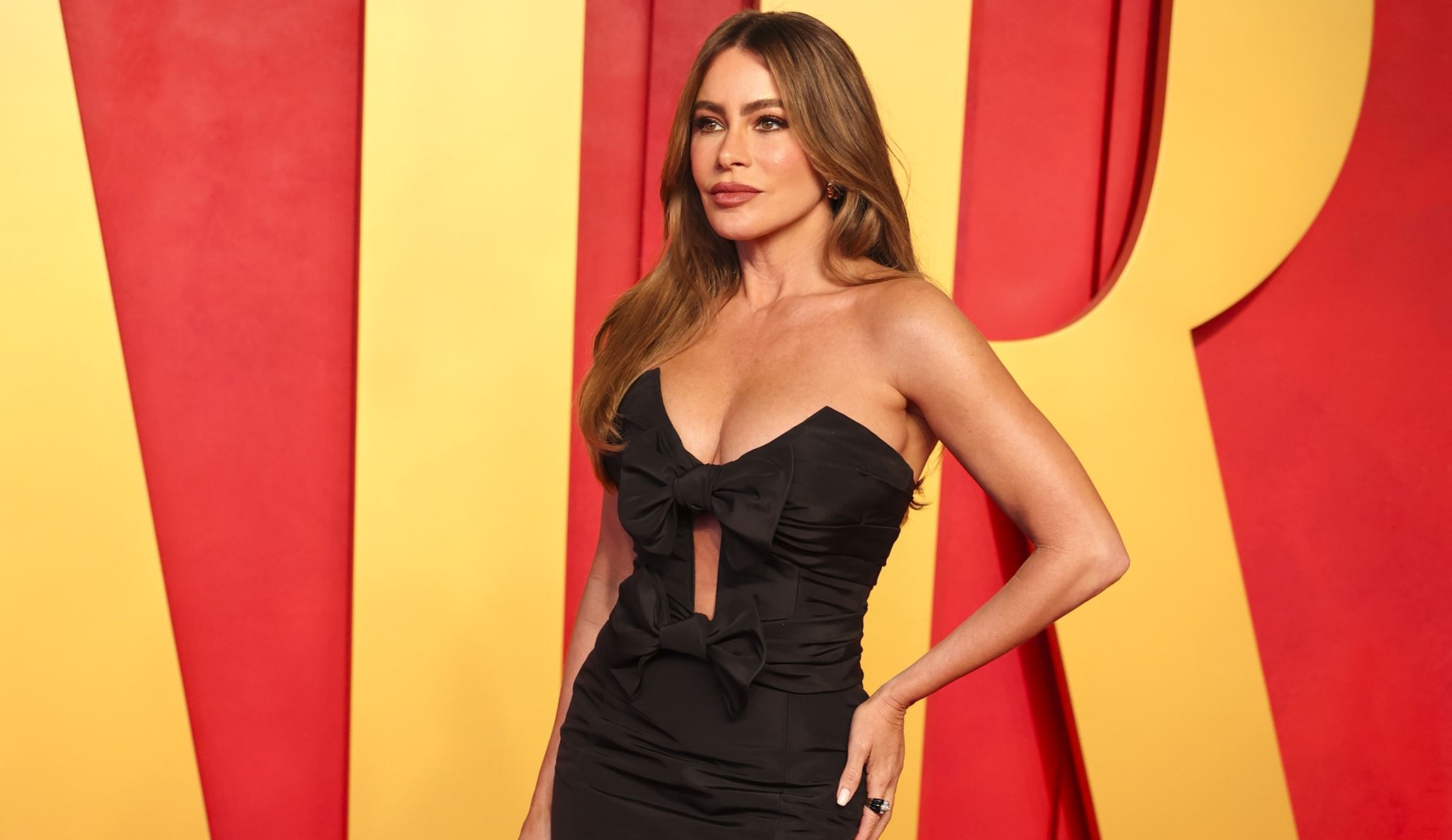 H Sofia Vergara για αρχάριους