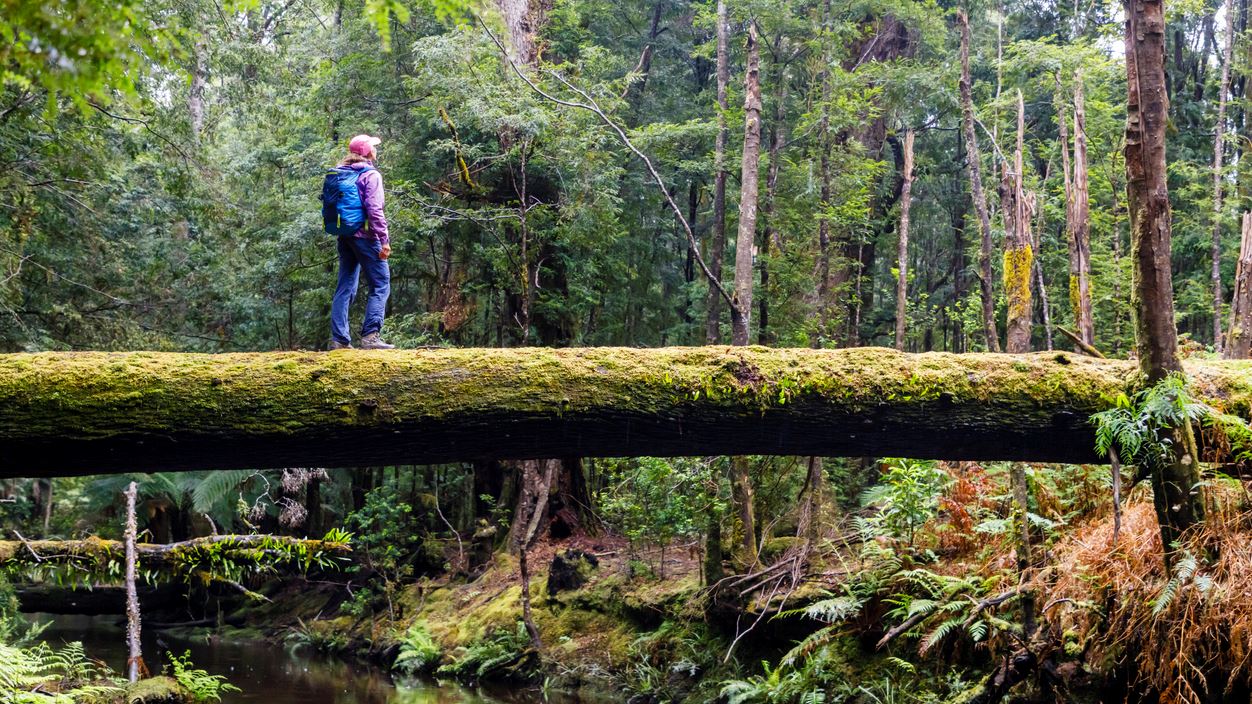 5 πράγματα που δεν ήξερες για την Τασμανία