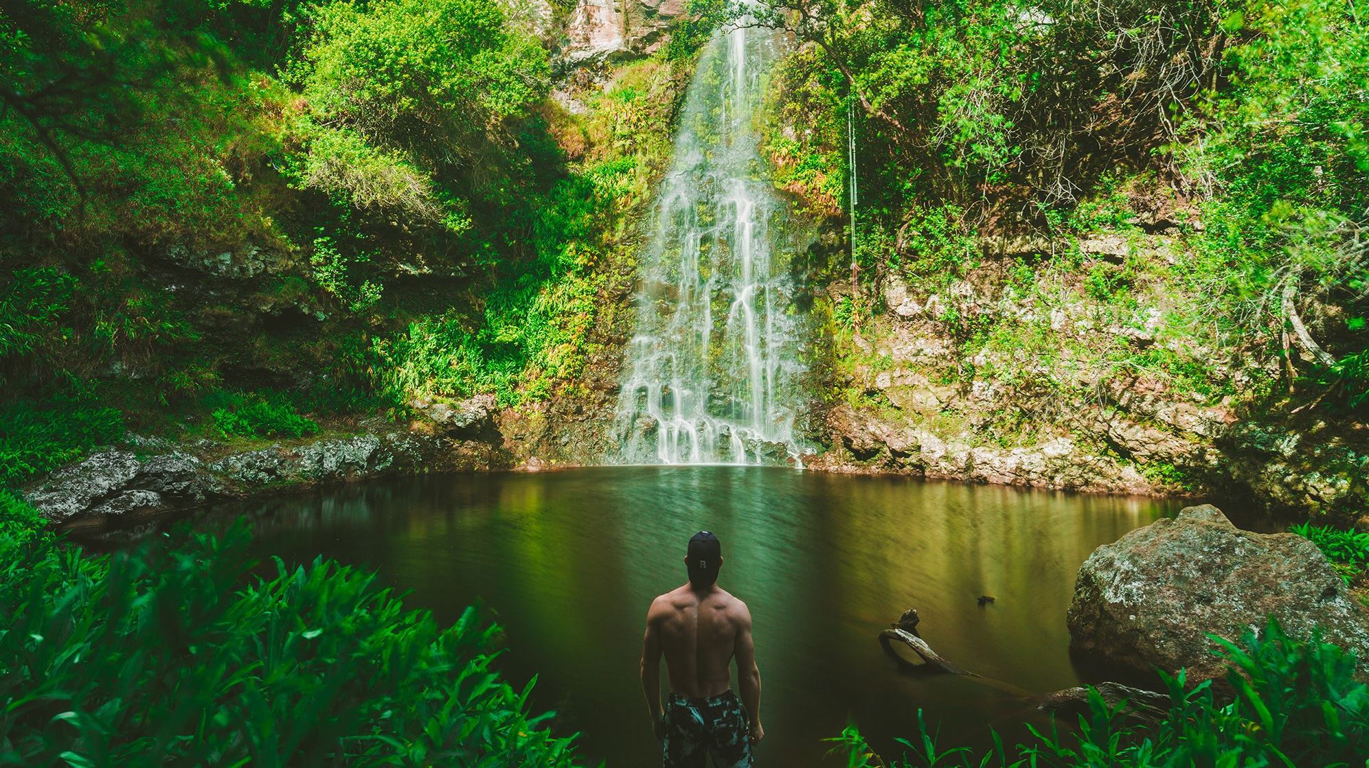 Τα αιθέρια έλαια είναι η καλύτερη εναλλακτική στα αρώματα