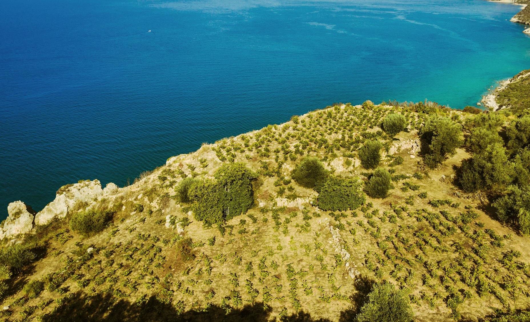 Ήρθε η ώρα να μιλήσουμε σοβαρά για το κρασί της Κεφαλονιάς