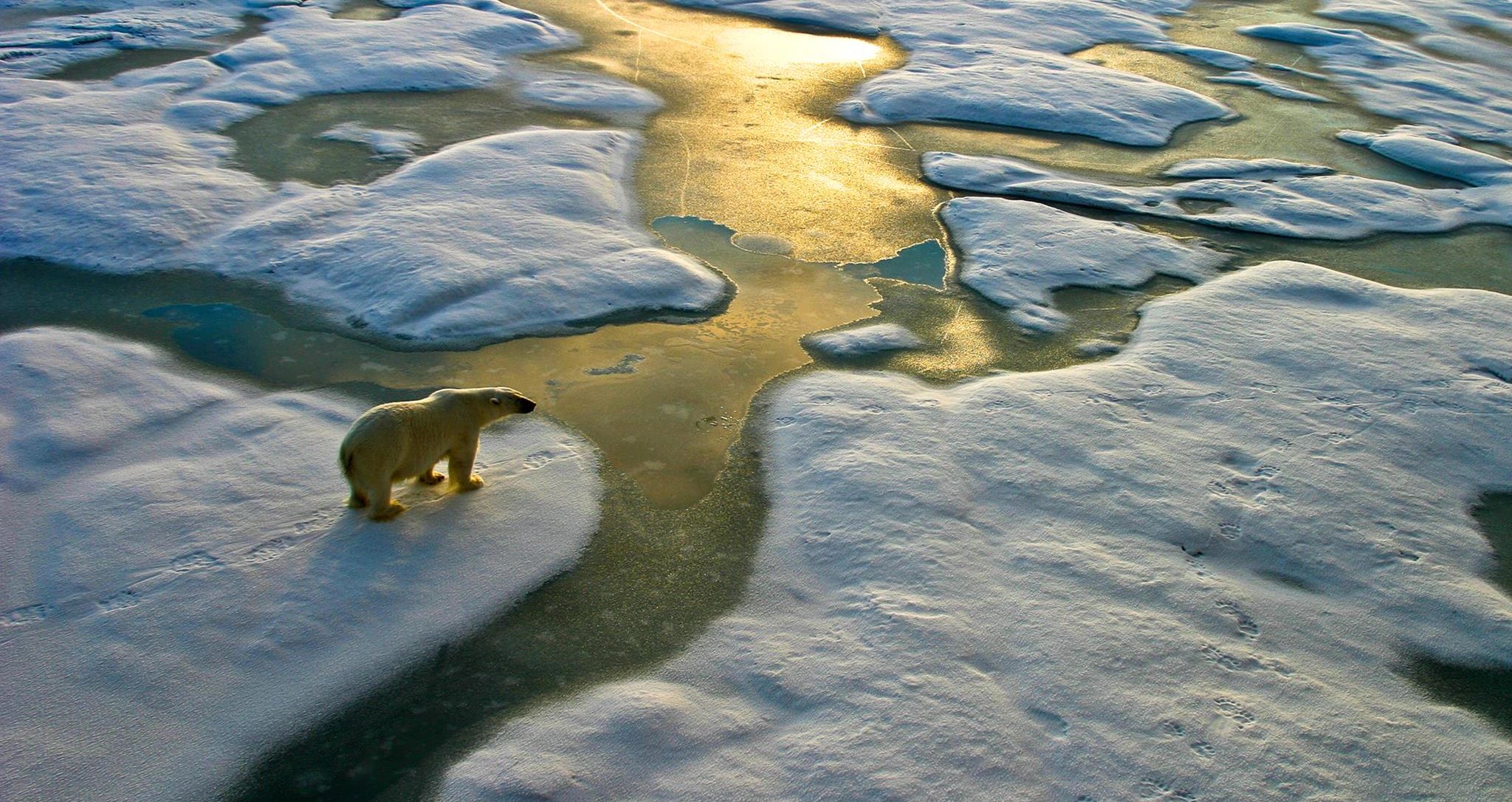 Περιβάλλον, ώρα μηδέν