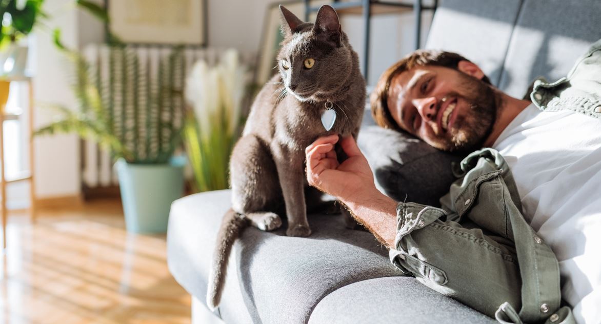Με γάτα στο σπίτι όλα είναι καλύτερα