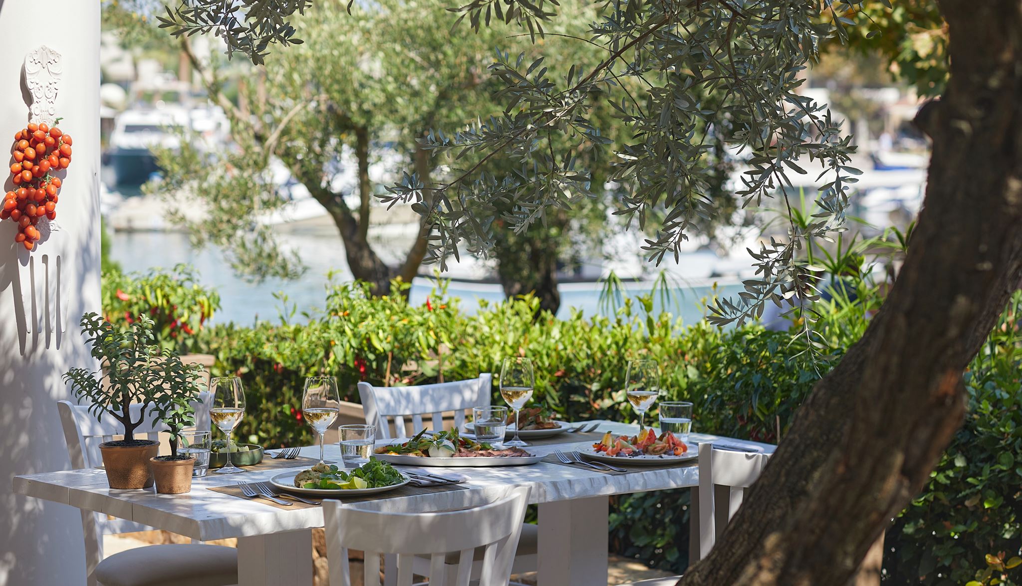 Γαστρονομικό ραντεβού στο Sani Gourmet