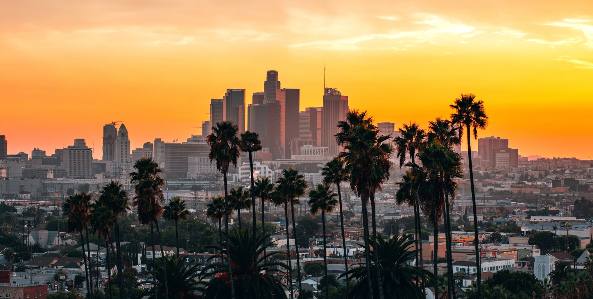 Hollywood Con Queen ή αλλιώς, μία σειρά για μία από τις μεγαλύτερες απάτες στο Χόλιγουντ