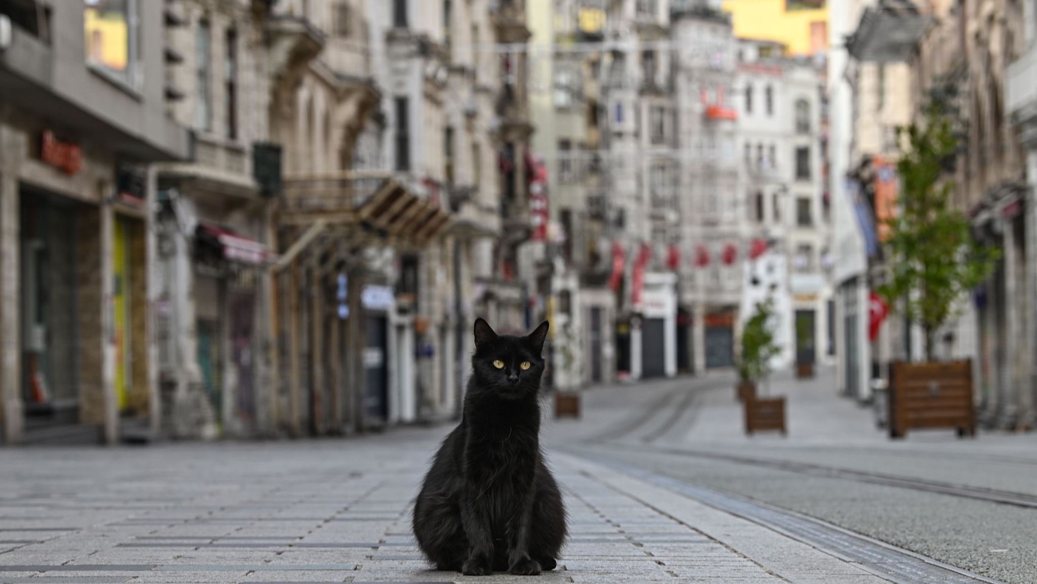 Η Ευρώπη μετά την καραντίνα