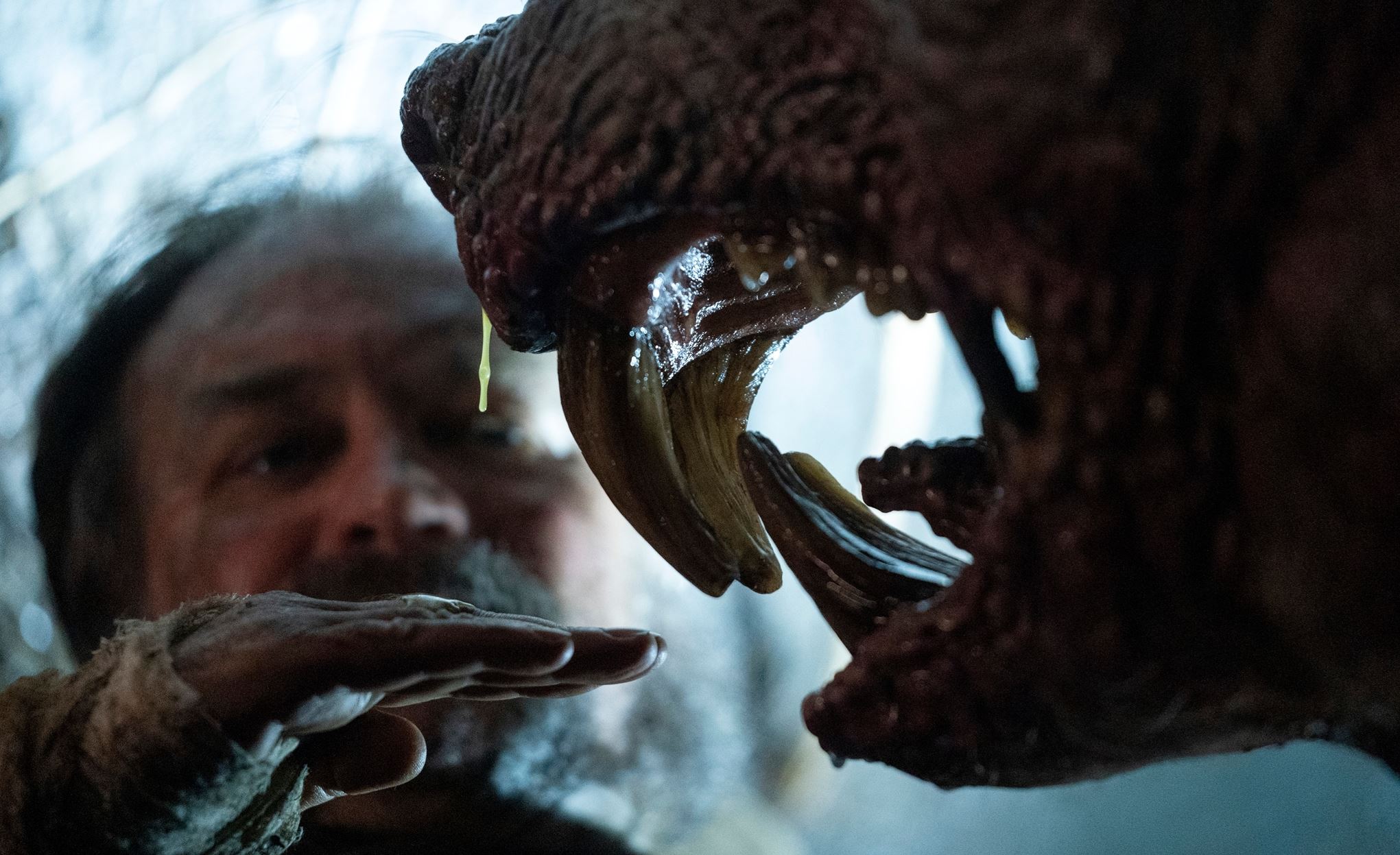 Οι σειρές του Netflix για τον Οκτώβριο