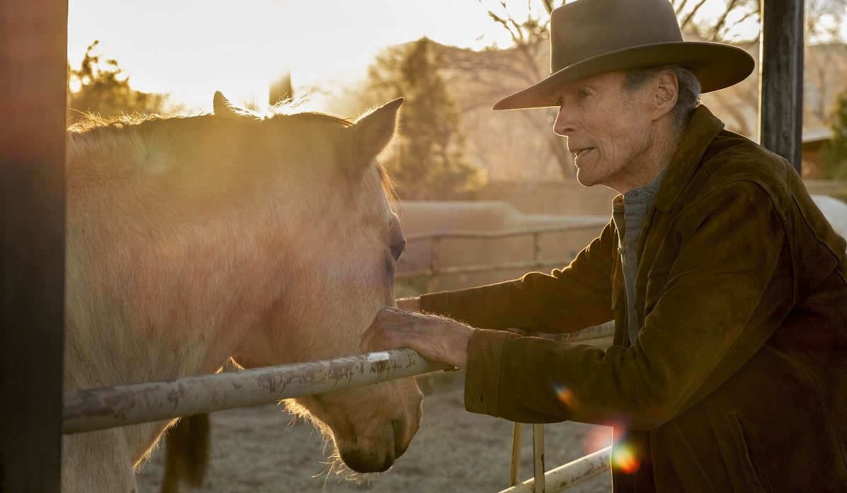 Το Cry Macho, ο Βασιλιάς Otto και ό,τι νέο έρχεται στα θερινά σινεμά