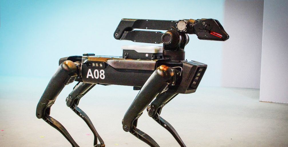 Το πρώτο ρομπότ-κατοικίδιο είναι γεγονός