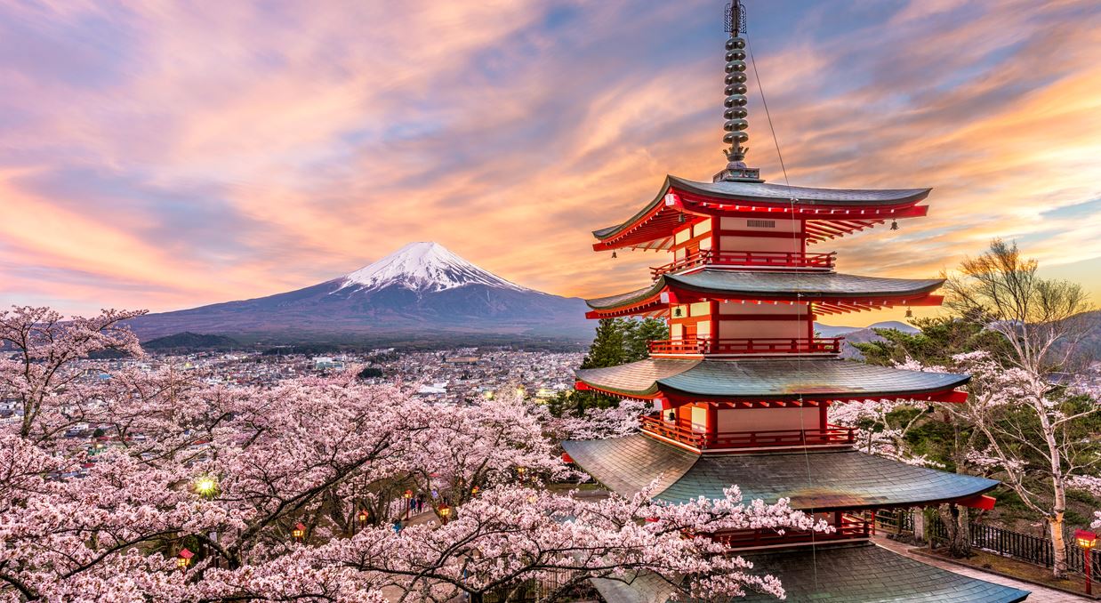 Το παράδοξο με τις κερασιές στην Ιαπωνία