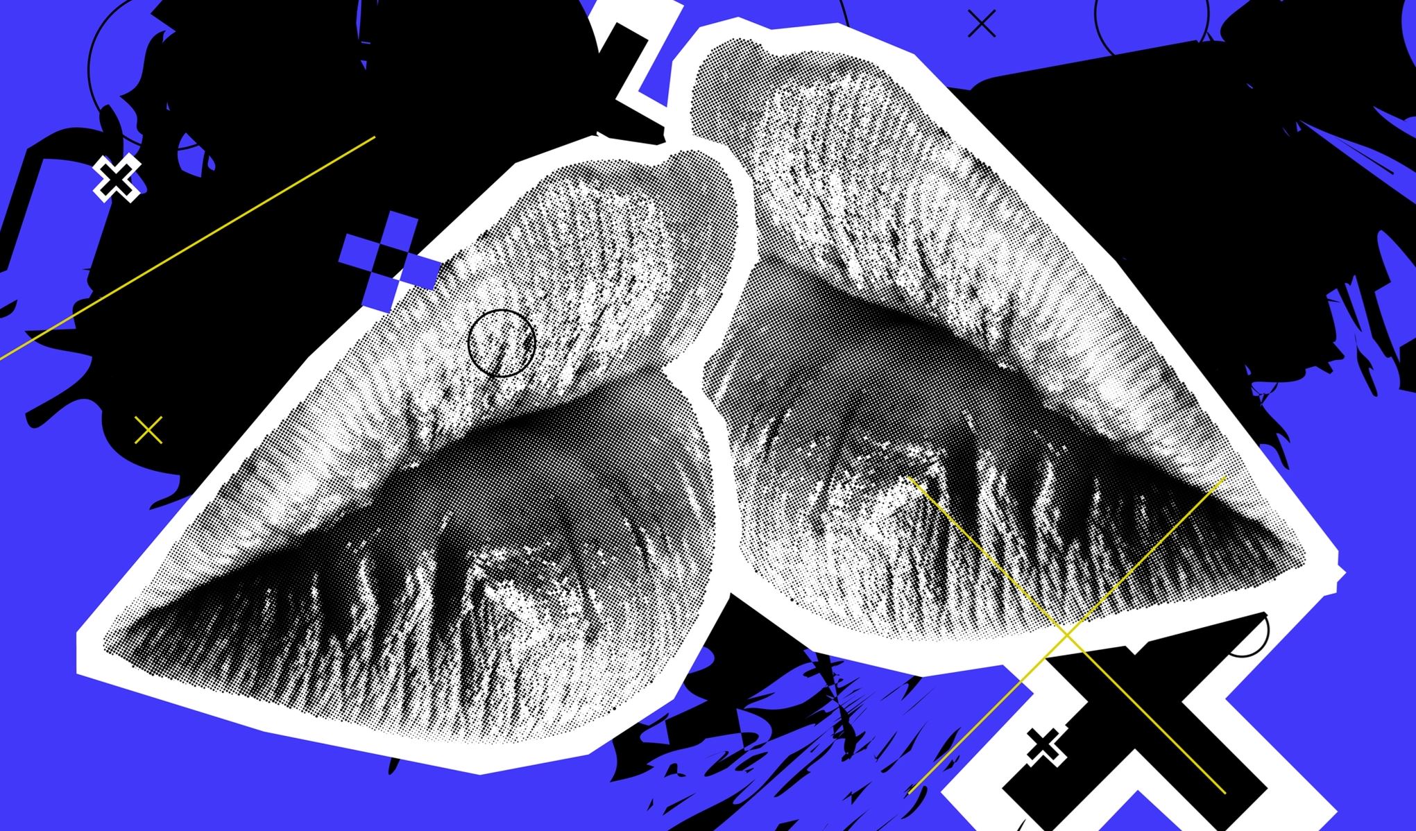 Από ό,τι φαίνεται, μετά το σεξ έρχονται οι καλύτερες ιδέες