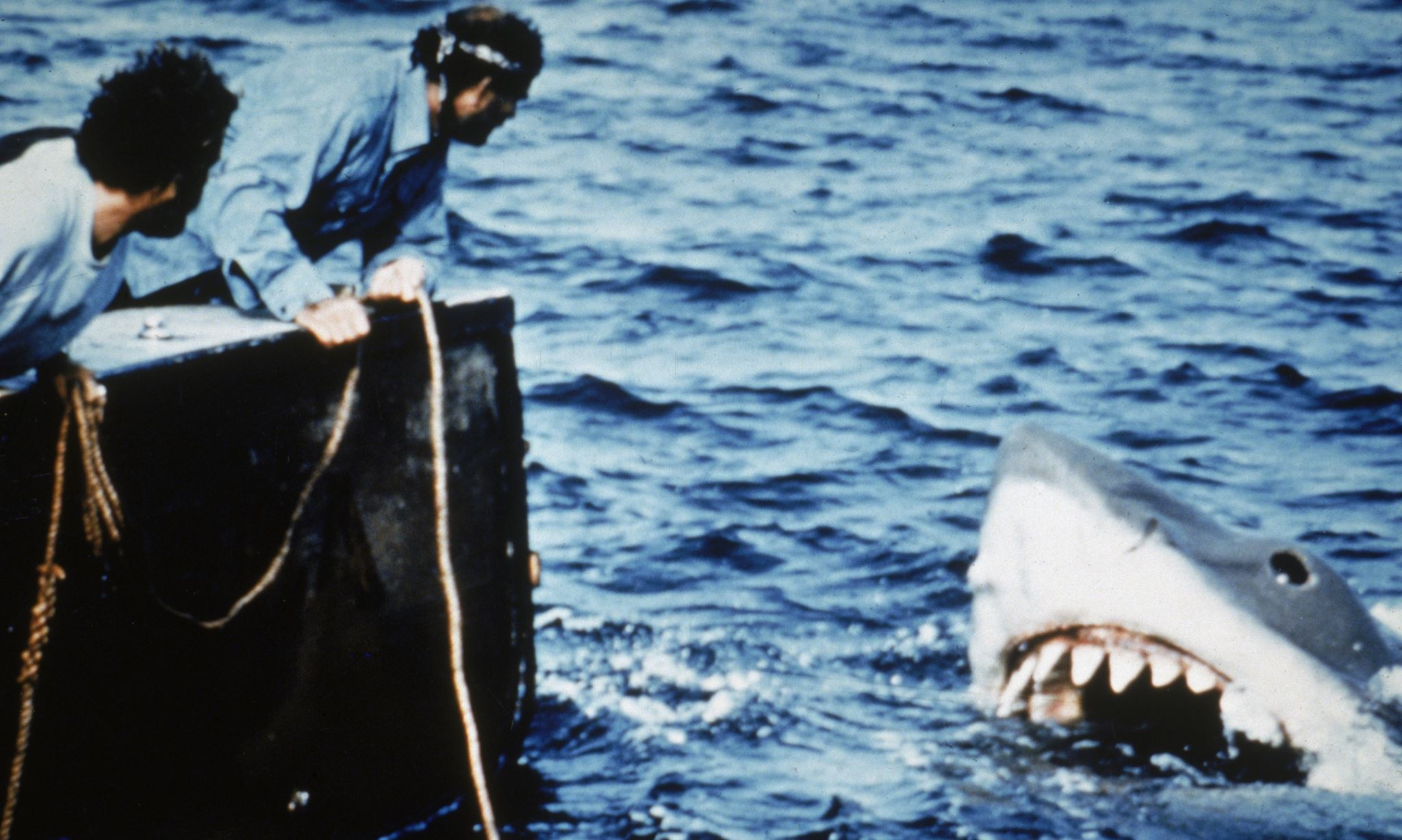 7 'κουλά' πράγματα για τα 'Σαγόνια του Καρχαρία' που έγιναν 50 ετών