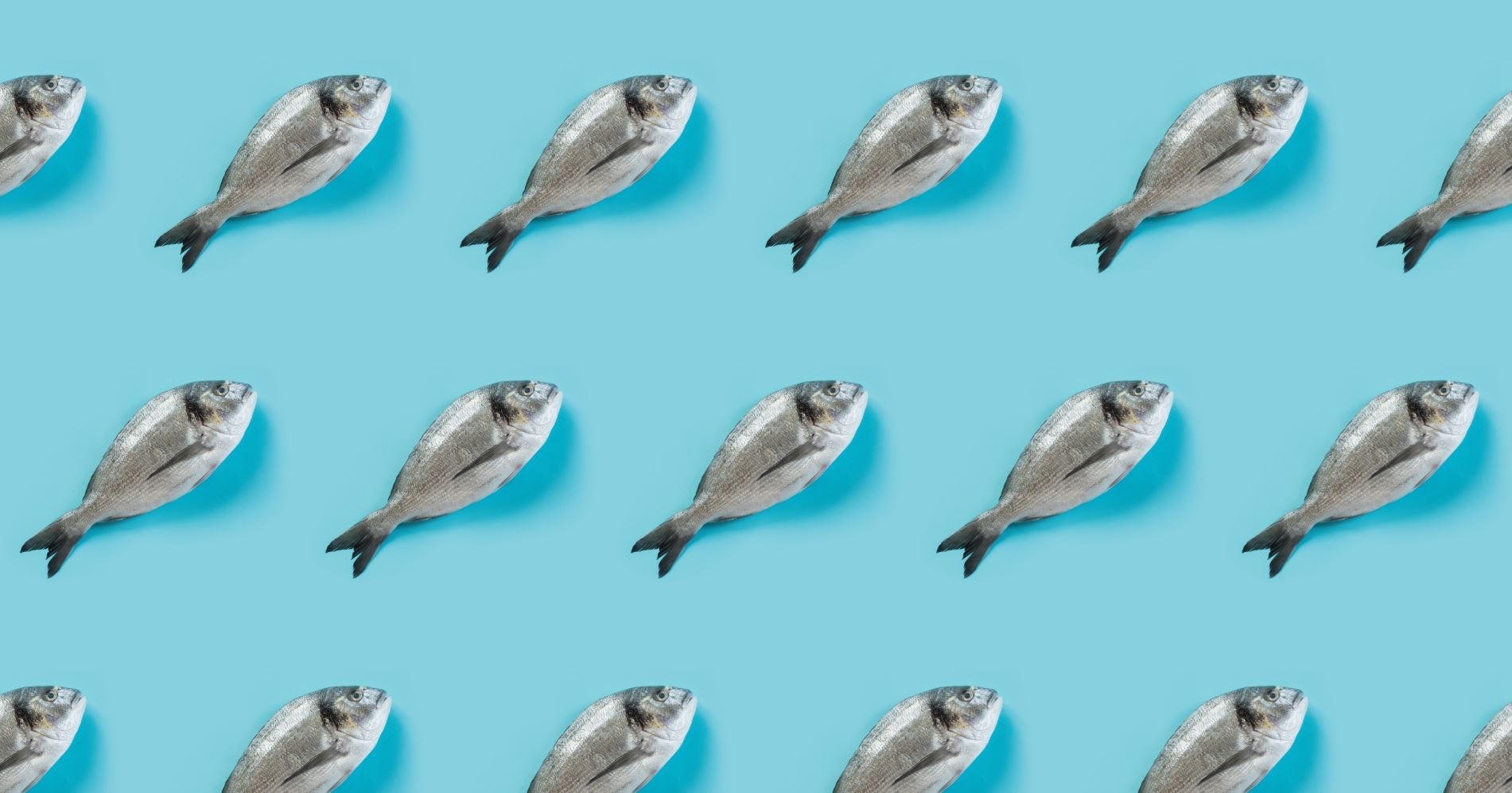 Η καλύτερη περίοδος για να φας ψάρι