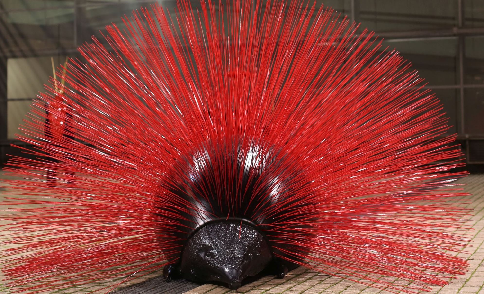 "Enigma": Η ατομική έκθεση του Κωστή Γεωργίου στην Κωνσταντινούπολη