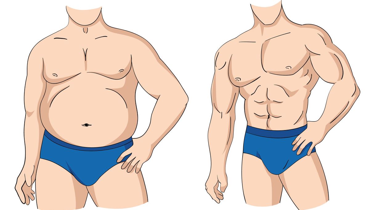Πώς μετατρέπονται 10 κιλά λίπους σε καθαρούς μυς
