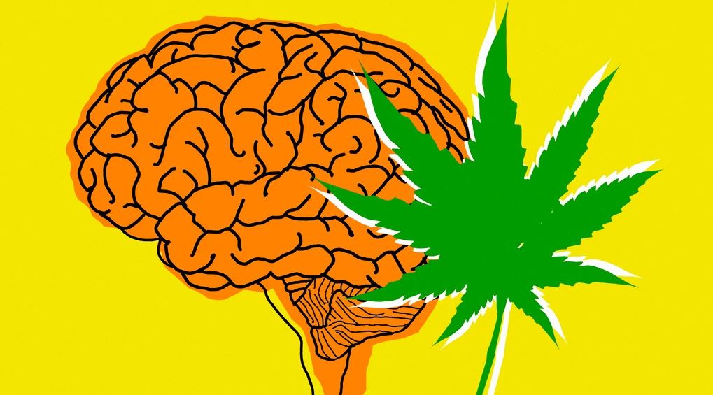 Κι αν η χρήση κάνναβης αλλάζει το DNA μας;