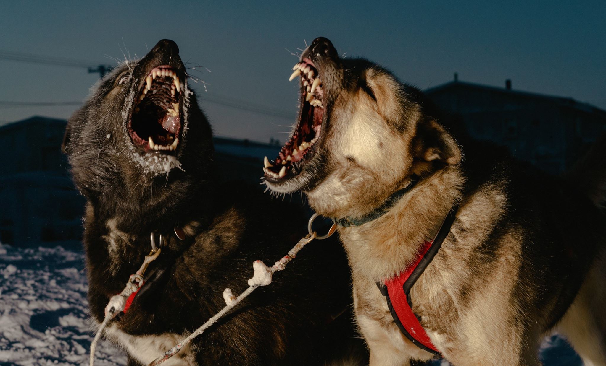 Εικόνες από τη ζωή στην πιο απομακρυσμένη πόλη της Αλάσκα