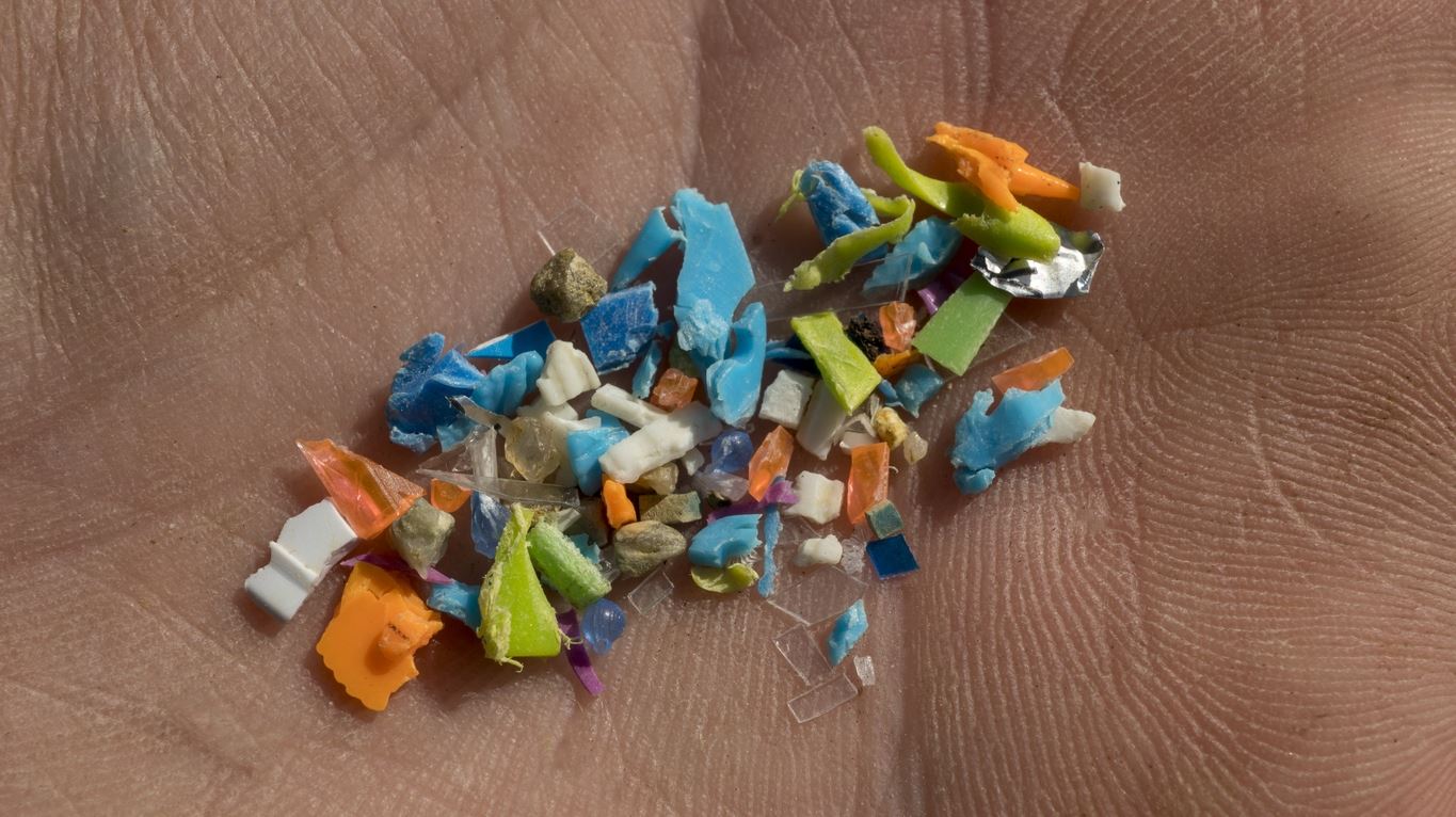 Μικροπλαστικά βρέθηκαν σε αντρικά γεννητικά όργανα και δυστυχώς δεν είναι πλάκα