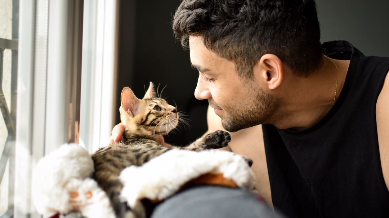 Πώς να μιλήσεις στη γάτα σου σύμφωνα με την επιστήμη